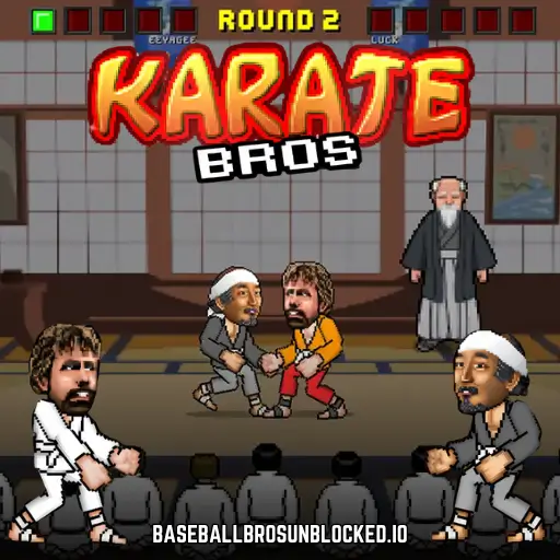 Karate Bros